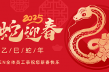 辭舊迎新，蛇舞華章丨深圳容金科技全體員工祝您新春快樂！